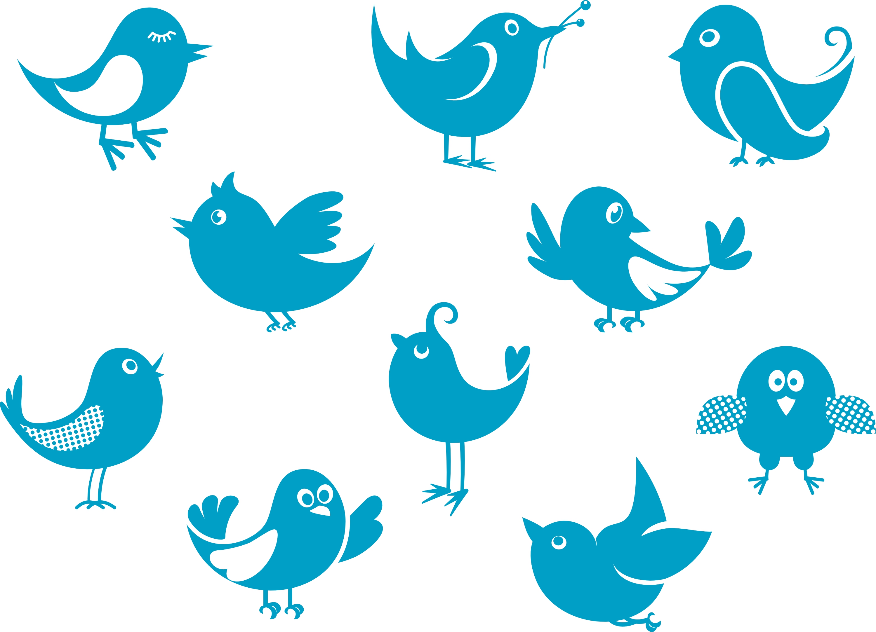 cute-little-birds.jpg cute-little-birds.jpg