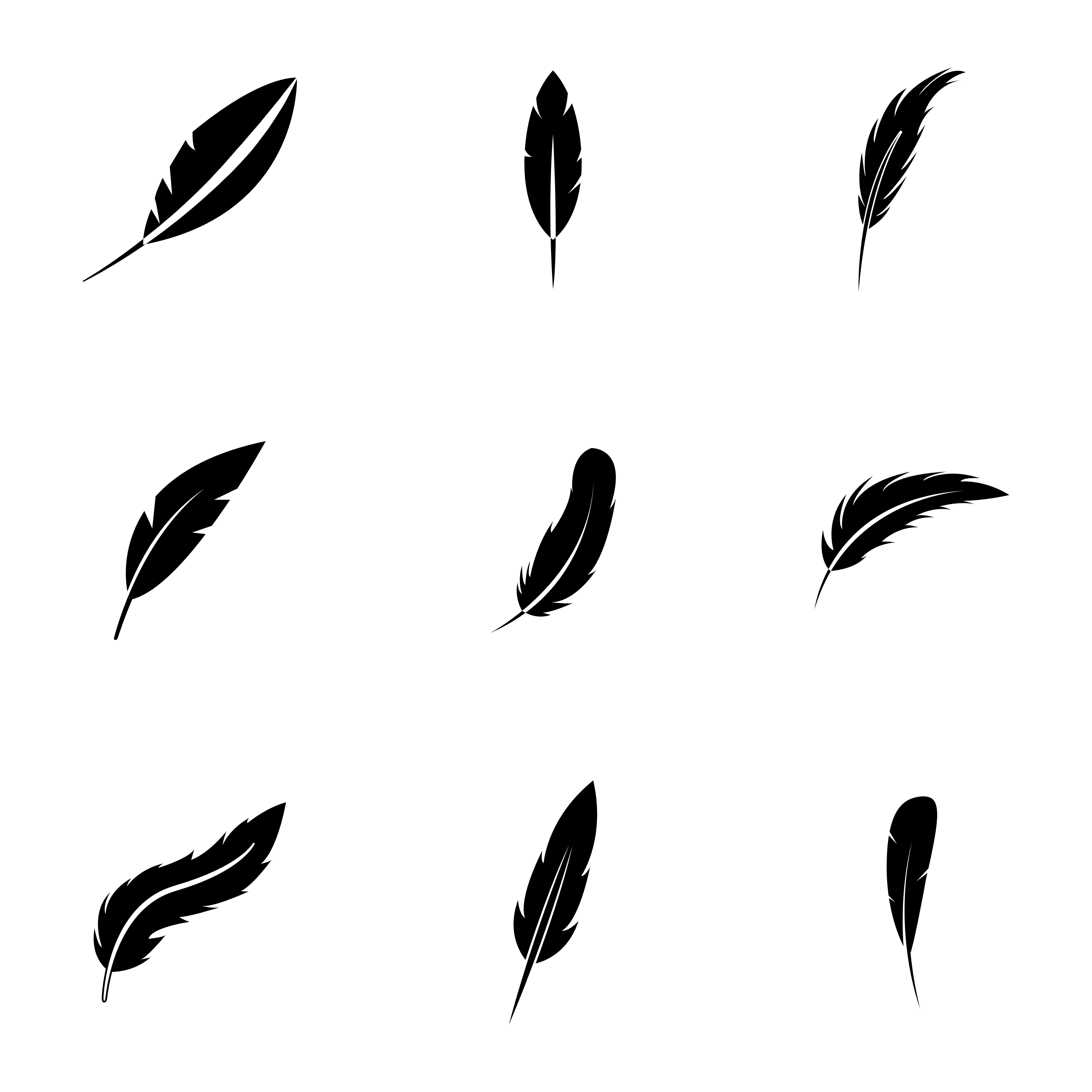 feathers.jpg feathers.jpg