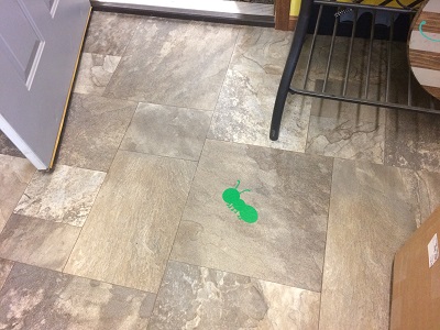 Sensory Path Marching Ant decal stuck to a textured linoleum floor and handling traffic very well!