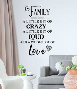 FAMILY QUOTE STICKER LITTLE BIT OF LOUD CRAZY LOVE WALL ART DECOR DECAL BLACK