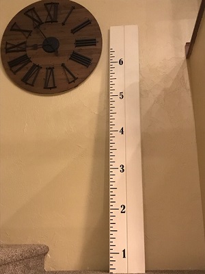 Click here to Order your vintage growth chart height ruler decal sticker!